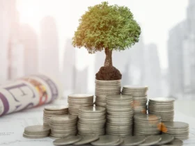 Entendendo os tipos de fundo e como escolher o ideal para você