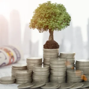 Entendendo os tipos de fundo e como escolher o ideal para você