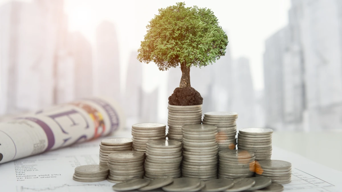 Entendendo os tipos de fundo e como escolher o ideal para você